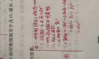 杨老师在线小学数学